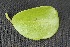  ( - BioBot05046)  @11 [ ] Copyright (2010) Unspecified Unspecified