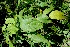  ( - BioBot05059)  @11 [ ] Copyright (2010) Unspecified Unspecified