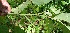  ( - BioBot05059)  @11 [ ] Copyright (2010) Unspecified Unspecified