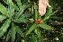  ( - BioBot05062)  @11 [ ] Copyright (2010) Unspecified Unspecified