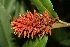  ( - BioBot05062)  @11 [ ] Copyright (2010) Unspecified Unspecified