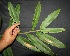  ( - BioBot05062)  @11 [ ] Copyright (2010) Unspecified Unspecified