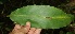  ( - BioBot05063)  @11 [ ] Copyright (2010) Unspecified Unspecified