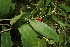  ( - BioBot05063)  @11 [ ] Copyright (2010) Unspecified Unspecified