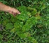  ( - BioBot05081)  @11 [ ] Copyright (2010) Unspecified Unspecified