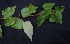  ( - BioBot05081)  @11 [ ] Copyright (2010) Unspecified Unspecified