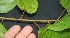  ( - BioBot05081)  @11 [ ] Copyright (2010) Unspecified Unspecified
