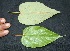  ( - BioBot05081)  @11 [ ] Copyright (2010) Unspecified Unspecified
