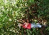  ( - BioBot05086)  @11 [ ] Copyright (2010) Unspecified Unspecified