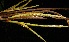  ( - BioBot05086)  @11 [ ] Copyright (2010) Unspecified Unspecified