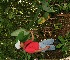  ( - BioBot05087)  @11 [ ] Copyright (2010) Unspecified Unspecified