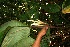  ( - BioBot05087)  @11 [ ] Copyright (2010) Unspecified Unspecified