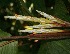  ( - BioBot05087)  @11 [ ] Copyright (2010) Unspecified Unspecified