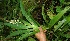  ( - BioBot05091)  @11 [ ] Copyright (2010) Unspecified Unspecified