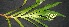  ( - BioBot05091)  @11 [ ] Copyright (2010) Unspecified Unspecified
