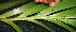  ( - BioBot05091)  @11 [ ] Copyright (2010) Unspecified Unspecified