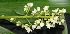  ( - BioBot05091)  @11 [ ] Copyright (2010) Unspecified Unspecified