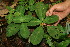  ( - BioBot05117)  @11 [ ] Copyright (2010) Unspecified Unspecified