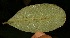  ( - BioBot05117)  @11 [ ] Copyright (2010) Unspecified Unspecified