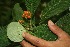  ( - BioBot05118)  @11 [ ] Copyright (2010) Unspecified Unspecified