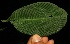  ( - BioBot05118)  @11 [ ] Copyright (2010) Unspecified Unspecified