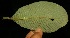  ( - BioBot05118)  @11 [ ] Copyright (2010) Unspecified Unspecified