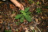  ( - BioBot05119)  @11 [ ] Copyright (2010) Unspecified Unspecified