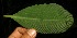  ( - BioBot05119)  @11 [ ] Copyright (2010) Unspecified Unspecified
