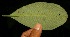  ( - BioBot05119)  @11 [ ] Copyright (2010) Unspecified Unspecified