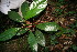  ( - BioBot05121)  @11 [ ] Copyright (2010) Unspecified Unspecified