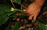  ( - BioBot05121)  @11 [ ] Copyright (2010) Unspecified Unspecified
