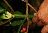  ( - BioBot05121)  @11 [ ] Copyright (2010) Unspecified Unspecified