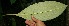  ( - BioBot05121)  @11 [ ] Copyright (2010) Unspecified Unspecified