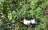  ( - BioBot05123)  @11 [ ] Copyright (2010) Unspecified Unspecified