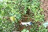  ( - BioBot05125)  @11 [ ] Copyright (2010) Unspecified Unspecified