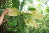  ( - BioBot05125)  @11 [ ] Copyright (2010) Unspecified Unspecified