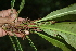  ( - BioBot05125)  @11 [ ] Copyright (2010) Unspecified Unspecified