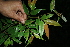  ( - BioBot05139)  @11 [ ] Copyright (2010) Unspecified Unspecified