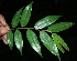  ( - BioBot05139)  @11 [ ] Copyright (2010) Unspecified Unspecified