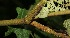  ( - BioBot05142)  @11 [ ] Copyright (2010) Unspecified Unspecified