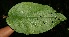  ( - BioBot05142)  @11 [ ] Copyright (2010) Unspecified Unspecified
