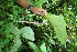  ( - BioBot05143)  @11 [ ] Copyright (2010) Unspecified Unspecified