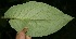  ( - BioBot05143)  @11 [ ] Copyright (2010) Unspecified Unspecified