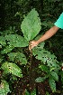  ( - BioBot05149)  @11 [ ] Copyright (2010) Unspecified Unspecified