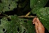  ( - BioBot05149)  @11 [ ] Copyright (2010) Unspecified Unspecified