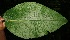  ( - BioBot05149)  @11 [ ] Copyright (2010) Unspecified Unspecified