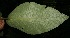  ( - BioBot05149)  @11 [ ] Copyright (2010) Unspecified Unspecified
