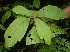  ( - BioBot05155)  @11 [ ] Copyright (2010) Unspecified Unspecified
