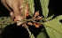  ( - BioBot05155)  @11 [ ] Copyright (2010) Unspecified Unspecified