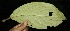  ( - BioBot05155)  @11 [ ] Copyright (2010) Unspecified Unspecified
